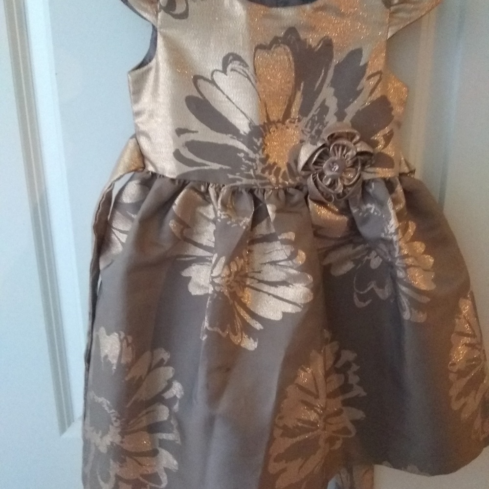 Girls dress